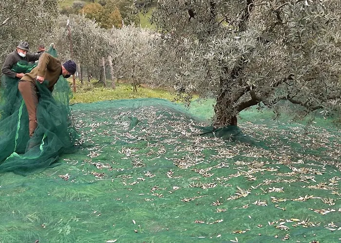 Nocleg ze śniadaniem La Veranda -